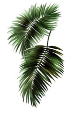 Tropical Leaf Illustration (1)