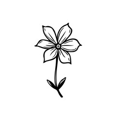 Fototapeta premium Minimalist floral artwork depicting a simple flower with delicate petals