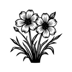 Botanical illustration of delicate blossoms with detailed petals and stems