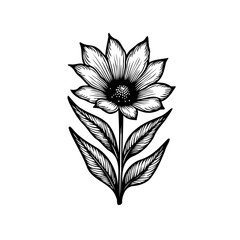 Elegant floral illustration featuring detailed petals and linear leaf work design