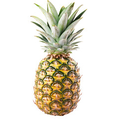 Fototapeta premium Fresh Pineapple Whole