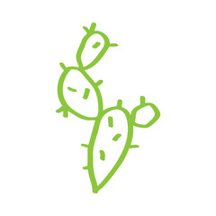 Fototapeta premium simple cactus hand drawn element