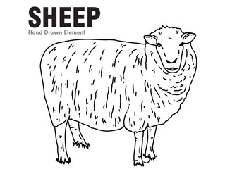 sheep vector illustration