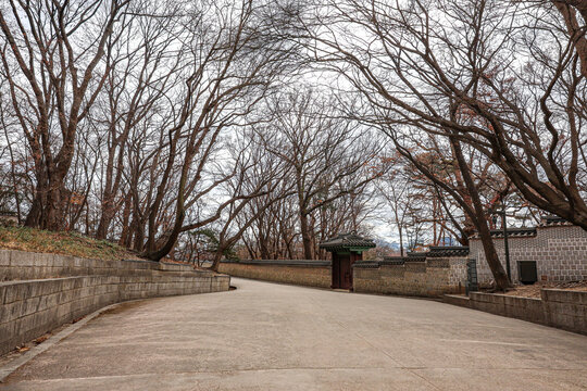 Peaceful Winter Path at Changdeokgung Palace in Seoul. A quiet stone pathway curves through leafless trees and traditional palace walls in Changdeokgung Palace during winter, showcasing Korea's serene - Powered by Adobe