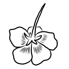 Free hand Sakura flower vector set, Beautiful line art Peach blossom isolate on white background.Cherry blossom illustration set.Element for weding card or printing on backdrop.