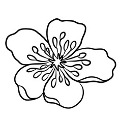 Free hand Sakura flower vector set, Beautiful line art Peach blossom isolate on white background.Cherry blossom illustration set.Element for weding card or printing on backdrop.