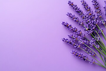Elegant lavender arrangement on violet backdrop