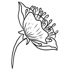 Free hand Sakura flower vector set, Beautiful line art Peach blossom isolate on white background.Cherry blossom illustration set.Element for weding card or printing on backdrop.