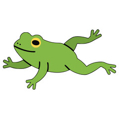 cute frog jumping wild animal flat color vector illustration template design