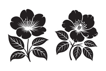 Flower Silhouette Vector – Botanical Bloom Clipart Design