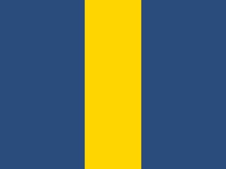 A simple, two-color background. A vertical yellow stripe is centered against a dark blue background.