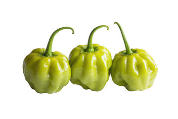 Three vibrant, glossy green Scotch bonnet peppers