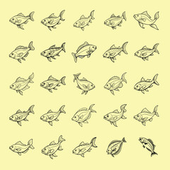 Obraz premium halibut fish design, labeled linea art vector illustration.