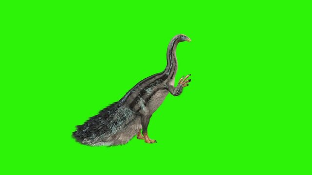 Therizinosaurus Dinosaur Eat