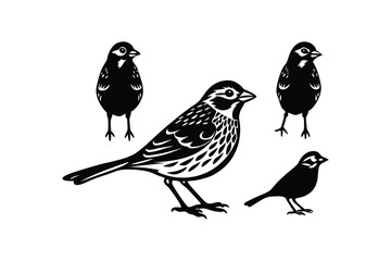 Grasshopper Sparrow Bird Silhouette Design