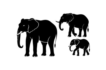 Elephant Silhouette Vector Set Design
