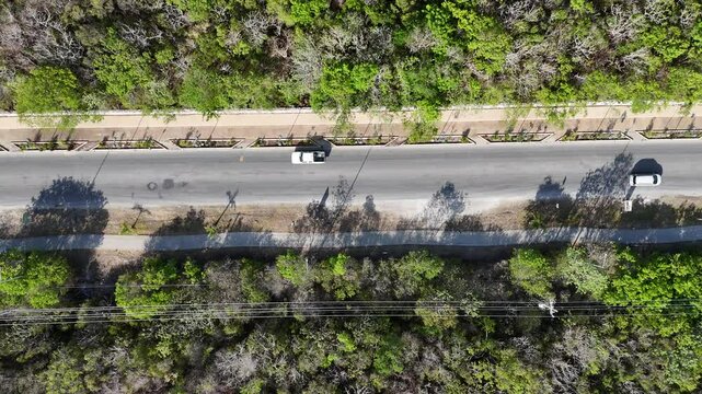 calle en medio de la selva en Tulum avenida importante de la ciudad