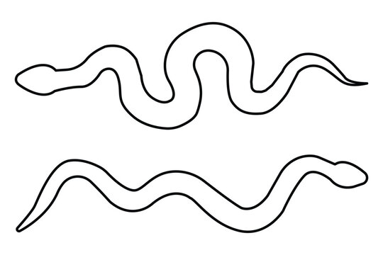 snake icon. snake icon with outline stroke.