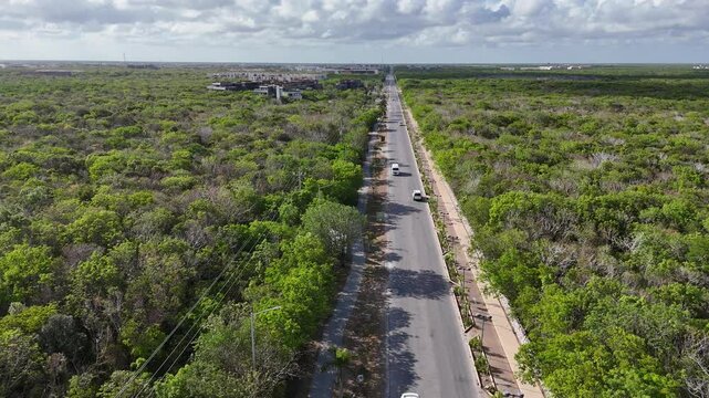 calle en medio de la selva en Tulum avenida importante de la ciudad