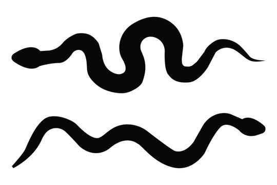 Snake Silhouette . snake silhouette in black.