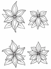 Anise line art minimalistic design for prints.eps
