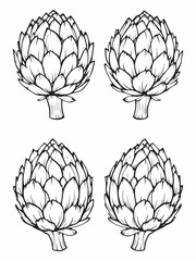 Artichoke minimalist line art on white background.eps