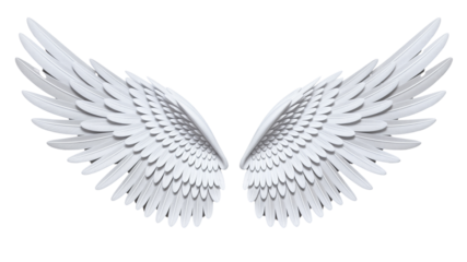 Symmetrical Ethereal White Wings on a Plain Background