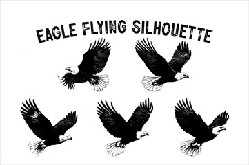 Obraz premium Flying Eagle Silhouette Vector on White Background.