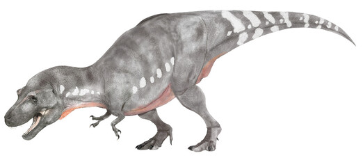 リトロナクス　ティラノサウルス類の中では現在最も古い地層から発見されている中型の肉食恐竜。頭骨は前後に短いが、吻部は細く後頭部にかけて開いており、両眼視が可能であったと考えられている。