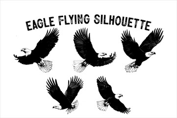 Flying Eagle Silhouette Vector on White Background.