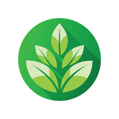 Leaves in a Circle with White Background 