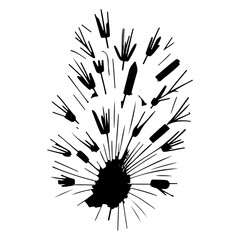 Obraz premium Abstract botanical illustration featuring a dandelion seed head dispersal graphic