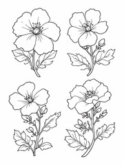 Cape leadwort flower delicate 2D line art sketch.eps