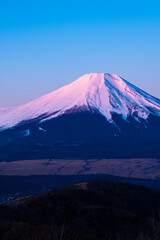Fototapeta premium 夜明けの富士山 冬