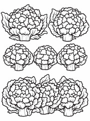 Cauliflower line art drawing for kitchen decor.eps