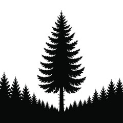 Tall Pine Tree Silhouette in a Forest Landscape