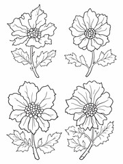 Hazel Flower line art delicate strokes form elegance.eps