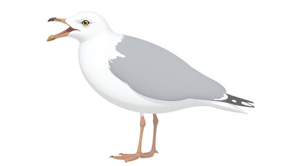Naklejka premium Seagull illustration, white and grey bird with orange legs, for wildlife design or conservation materials, Isolated on transparent background, png