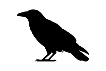 Black crow silhouette vector bird raven design art