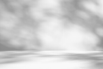 Abstract white studio room with light and shadow from window and tree leaves background for product display presentation