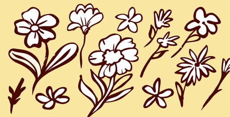 Hand-Drawn Flower Illustrations: Floral Design Elements