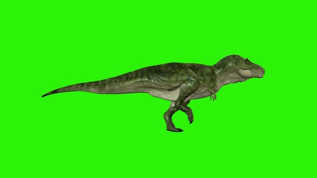 tyrannosaurus Dinosaur Walk