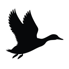 Obraz premium Black Silhouette of a Duck in Flight Wings Spread