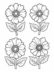 Feverfew line art capturing nature?s intricate beauty.eps