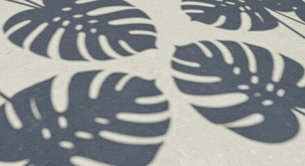 Obraz premium Grey Monstera Leaf Shadows on White Textured Surface