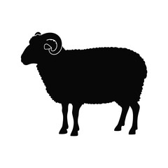 Black Silhouette of a Ram Sheep Standing Profile