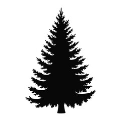 Black Silhouette of a Coniferous Evergreen Tree
