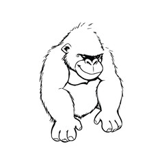 gorilla isolated on white background
