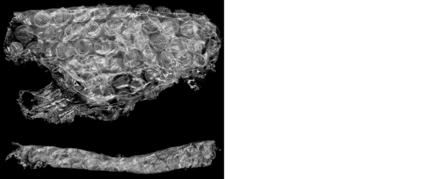 Isolated Bubble Wrap Texture for Wrapping or Shipping Design on a Transparent or White Background