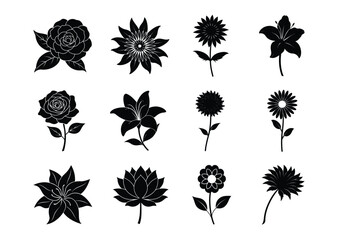 set of flowers silhouette vectore, African set of flowers silhouette.